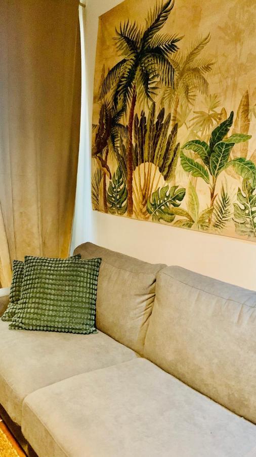 Studios De La Maison Narbonnaise Narbonne Dış mekan fotoğraf